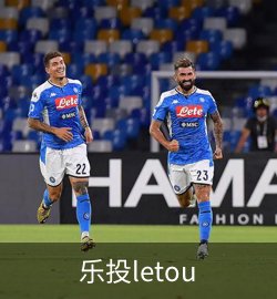 项目案例